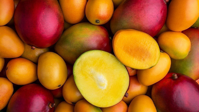 Tropical Fruits